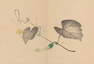 Zeshin iboku tairyūkyo gafu, Pl.04 by Сибата Зэшин, 1907 — digital art print download