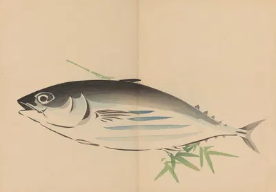 Zeshin iboku tairyūkyo gafu, Pl.05 by Shibata Zeshin, 1907 — digital art print download