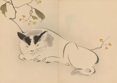 Zeshin iboku tairyūkyo gafu, Pl.08 by Сибата Зэшин, 1907 — digital art print download