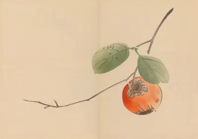Zeshin iboku tairyūkyo gafu, Pl.10 by Сибата Зэшин, 1907 — digital art print download