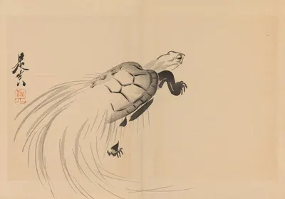 Zeshin iboku tairyūkyo gafu, Pl.12 by Shibata Zeshin, 1907 — digital art print download