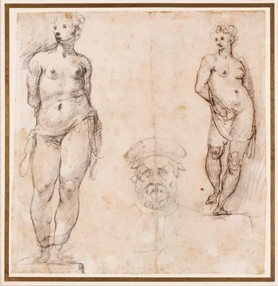 Studies of a Nude Female Statue (Venus) and Head of a Mature Bearded Man by Cherubino Alberti — digital art print download
