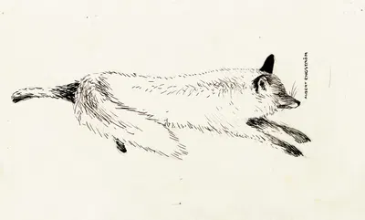 Eager for the Hunt by Albert Engström, 1902 — digital art print download