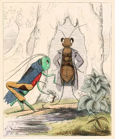 Муравей и кузнечик by Чарльз Генри Беннет, 1857 — digital art print download
