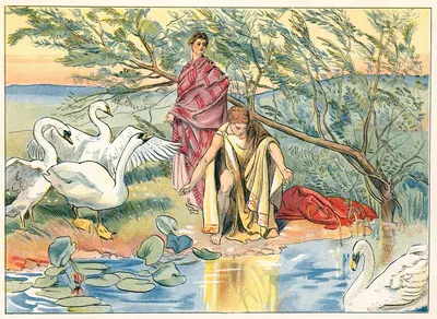 Нарцисс by Джон Шелтон Иланд, 1890 — digital art print download