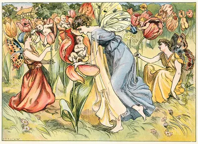 Тюльпан by Джон Шелтон Иланд, 1890 — digital art print download
