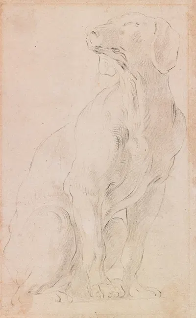 Seated Dog by Франческо Солимена — digital art print download