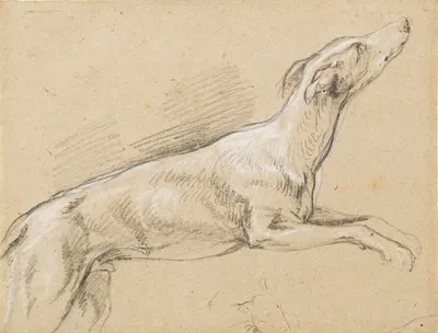 Leaping Greyhound (study) by Frans Snijders — digital art print download