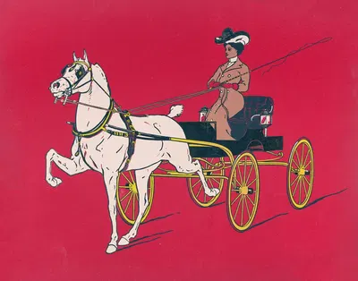 Победитель с голубой лентой by Фред Толман, 1903 — digital art print download