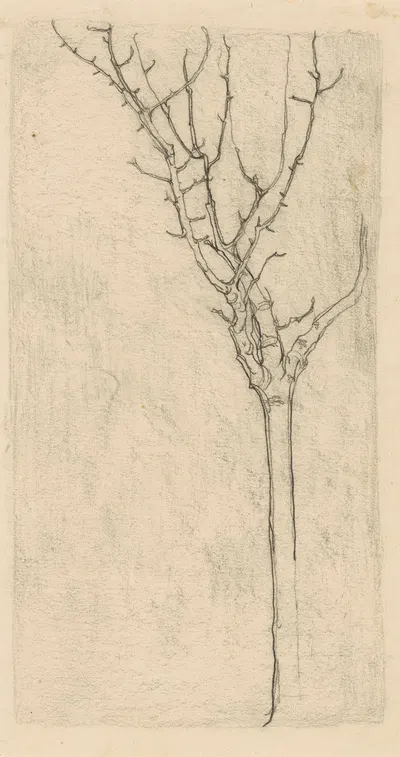 Kale boom by Ян Манкес, 1900-1920 — digital art print download