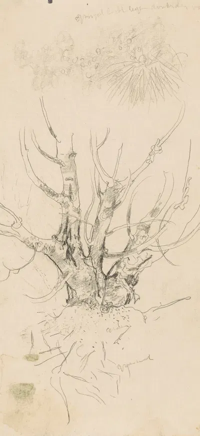 Studie van een boomstronk by Ян Манкес, 1900-1920 — digital art print download