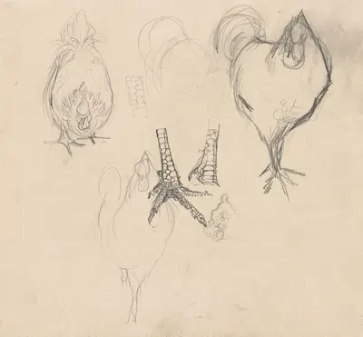 Studies van een haan en een kip by Ян Манкес, 1900-1920 — digital art print download