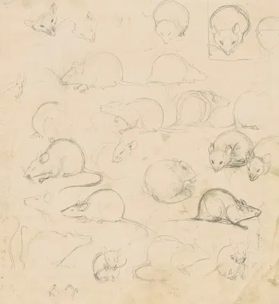 Studies van een muis by Ян Манкес, 1900-1920 — digital art print download