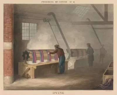 Прогресс хлопка; №11 – Краска by Джеймс Ричард Барфут, 1840 — digital art print download