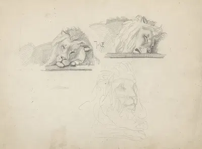 Drie studies van een leeuw by Йохан Бракенсик — digital art print download