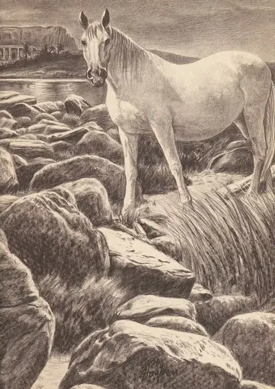 Пианхи Великий Пл4 by Э. Харпер Джонсон, 1962 — digital art print download