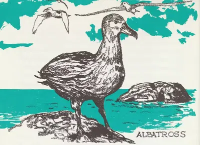 Знакомство с Британскими Вест-Индиями пл.6 by Шеннон Стирнвейс, 1962 — digital art print download