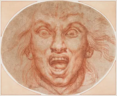 Self-Portrait Screaming in Terror by Жозеф Дюкре — digital art print download