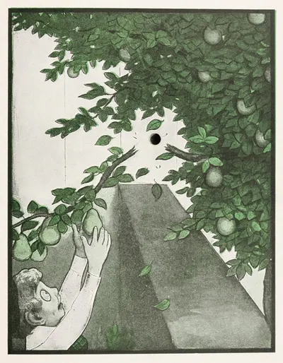 Книга с дыркой Пл.09 by Петер Ньюэлл, 1908 — digital art print download