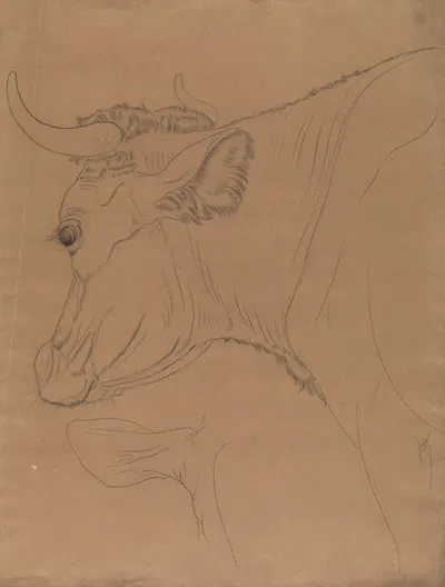 Bull's head 2 by Поль Вуитюрон — digital art print download
