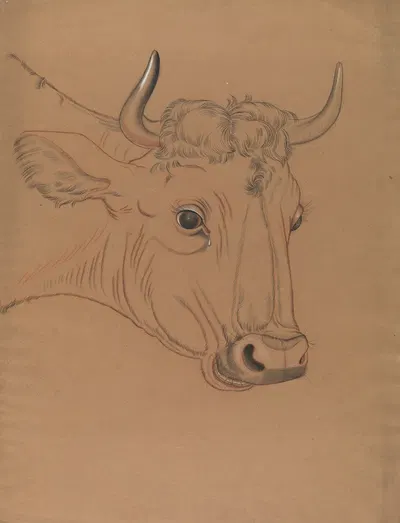 Bull's head by Paul Voituron — digital art print download