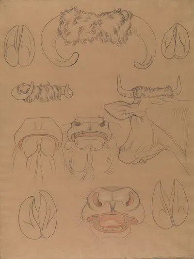 Cow studies by Paul Voituron — digital art print download