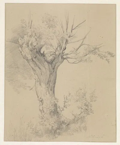 Knotwilg te Sloterdijk by Pierre Louis Dubourcq, 1825-1873 — digital art print download
