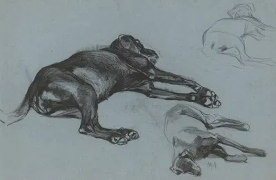 Lying dogs by Питер Йосселин де Йонг — digital art print download