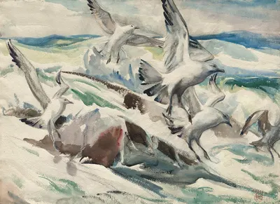 Gulls Feeding by Henry Keller, 1927–1928 — digital art print download