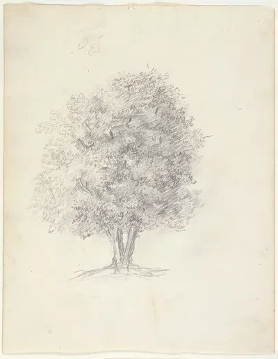 Tree Study by Теодор Руссо, 1825 — digital art print download