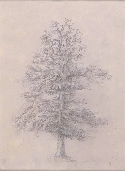 Tree Study by Теодор Руссо, 1825 — digital art print download
