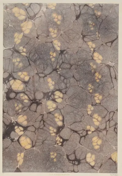 Мраморная бумага by А. у. П. Реннер, 1904 - 1907 — digital art print download