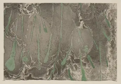 Фантазийная мраморная бумага (масляный мрамор) by Лаура Ланге, 1901 — digital art print download