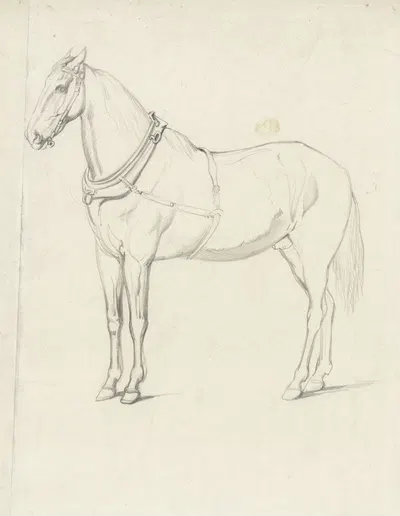 Staand paard, naar links by Willem Carel Nakken — digital art print download
