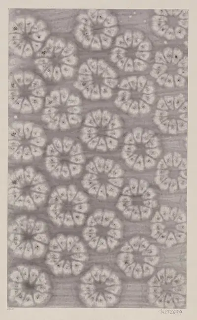 Клейстерная бумага (с стилизованными цветами) by Людериц и Бауэр, 1888 - 1909 — digital art print download