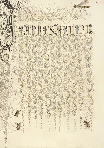 Crane Fly and Ants by Joris Hoefnagel, 1561–1596 — digital art print download