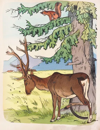 Олень и белка by Лотар Меггендорфер, 1884 — digital art print download