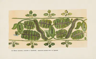 Motivy ukrainskago ornamenta Pl. 12 by Nikolay Samokish, 1900 — digital art print download