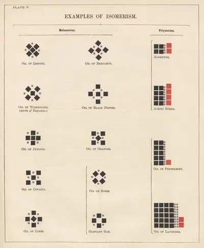 Plate V: Examples of Isomerism by Edward Livingston Youmans, 1856 — digital art print download