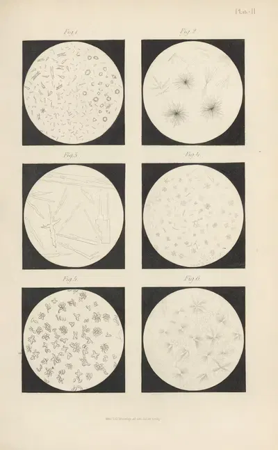 Micro-Chemistry of Poisons Pl.02 by Theodore George Wormley, 1885 — digital art print download