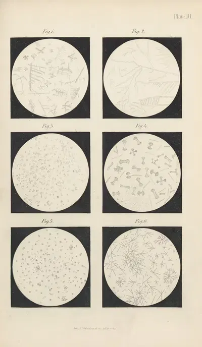 Micro-Chemistry of Poisons Pl.03 by Theodore George Wormley, 1885 — digital art print download