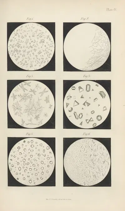 Micro-Chemistry of Poisons Pl.04 by Theodore George Wormley, 1885 — digital art print download