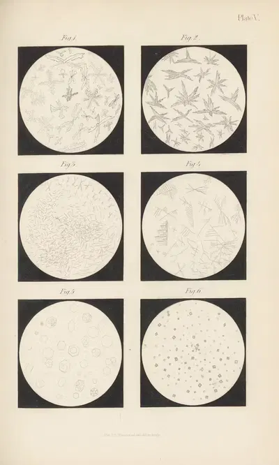 Micro-Chemistry of Poisons Pl.05 by Theodore George Wormley, 1885 — digital art print download