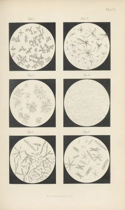 Micro-Chemistry of Poisons Pl.06 by Theodore George Wormley, 1885 — digital art print download