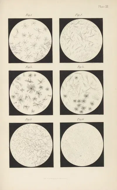 Micro-Chemistry of Poisons Pl.12 by Theodore George Wormley, 1885 — digital art print download