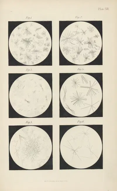 Micro-Chemistry of Poisons Pl.13 by Theodore George Wormley, 1885 — digital art print download
