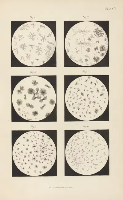 Micro-Chemistry of Poisons Pl.14 by Theodore George Wormley, 1885 — digital art print download