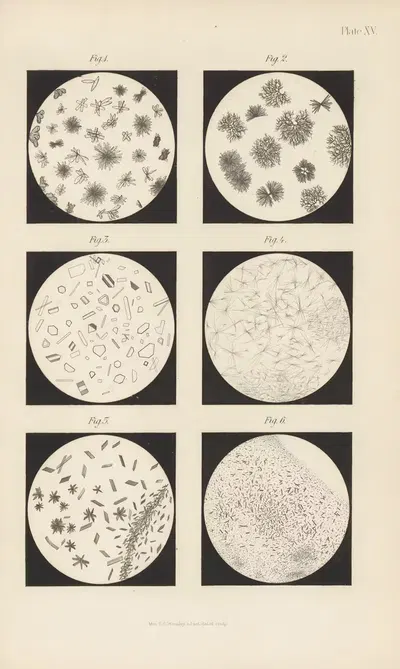 Micro-Chemistry of Poisons Pl.15 by Theodore George Wormley, 1885 — digital art print download