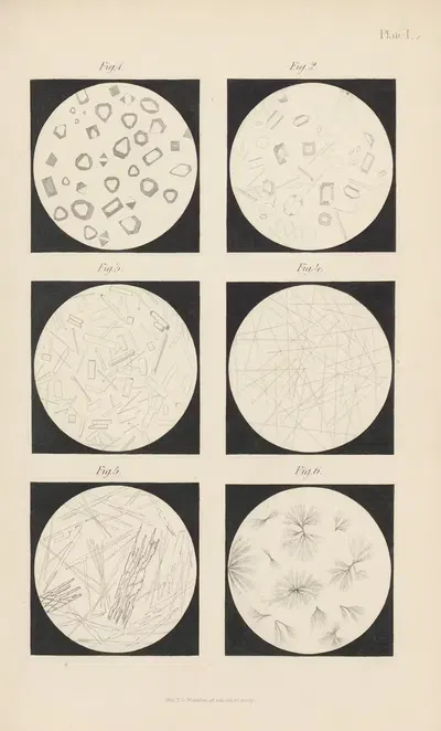 Micro-Chemistry of Poisons Pl.17 by Theodore George Wormley, 1885 — digital art print download