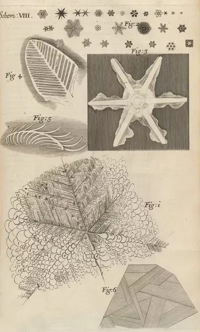 Микроскопический вид нескольких видов замороженных фигур by Роберт Хук, 1665 — digital art print download